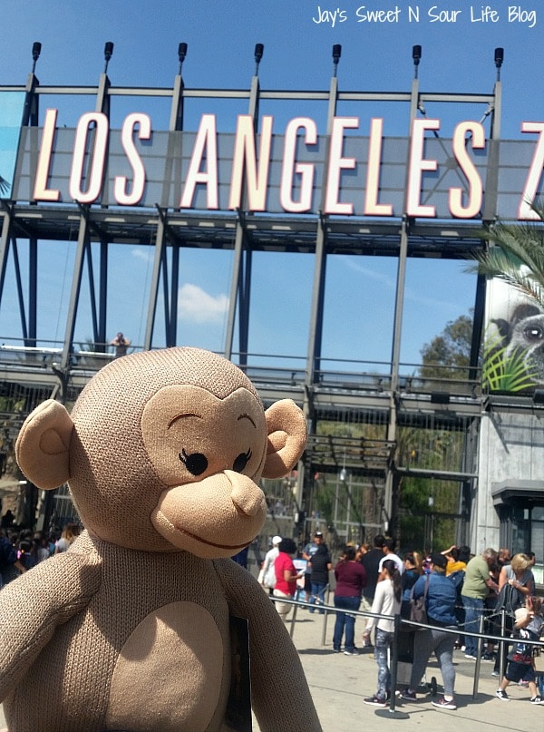 A Must See #MonkeyKingdom Themed Trip To The #LAZoo